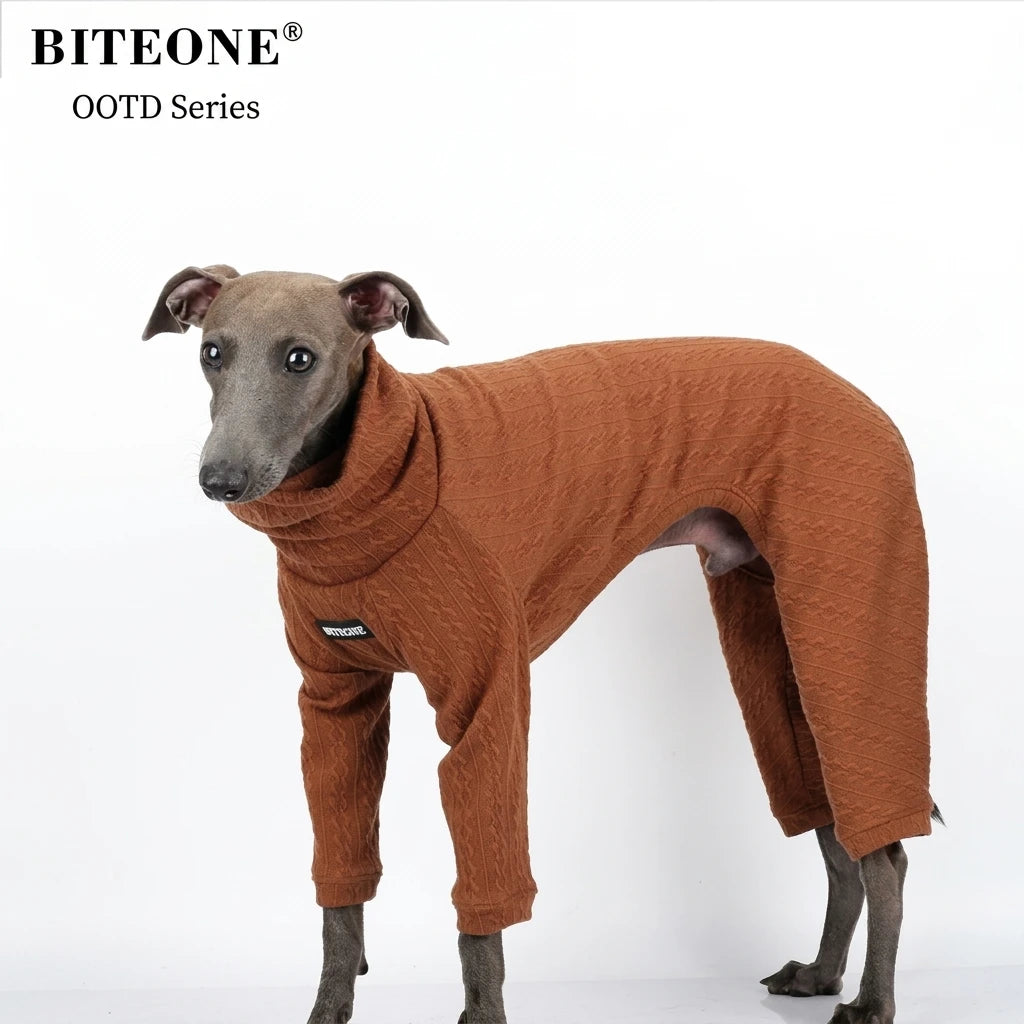 British-Style Pet Turtleneck Sweater