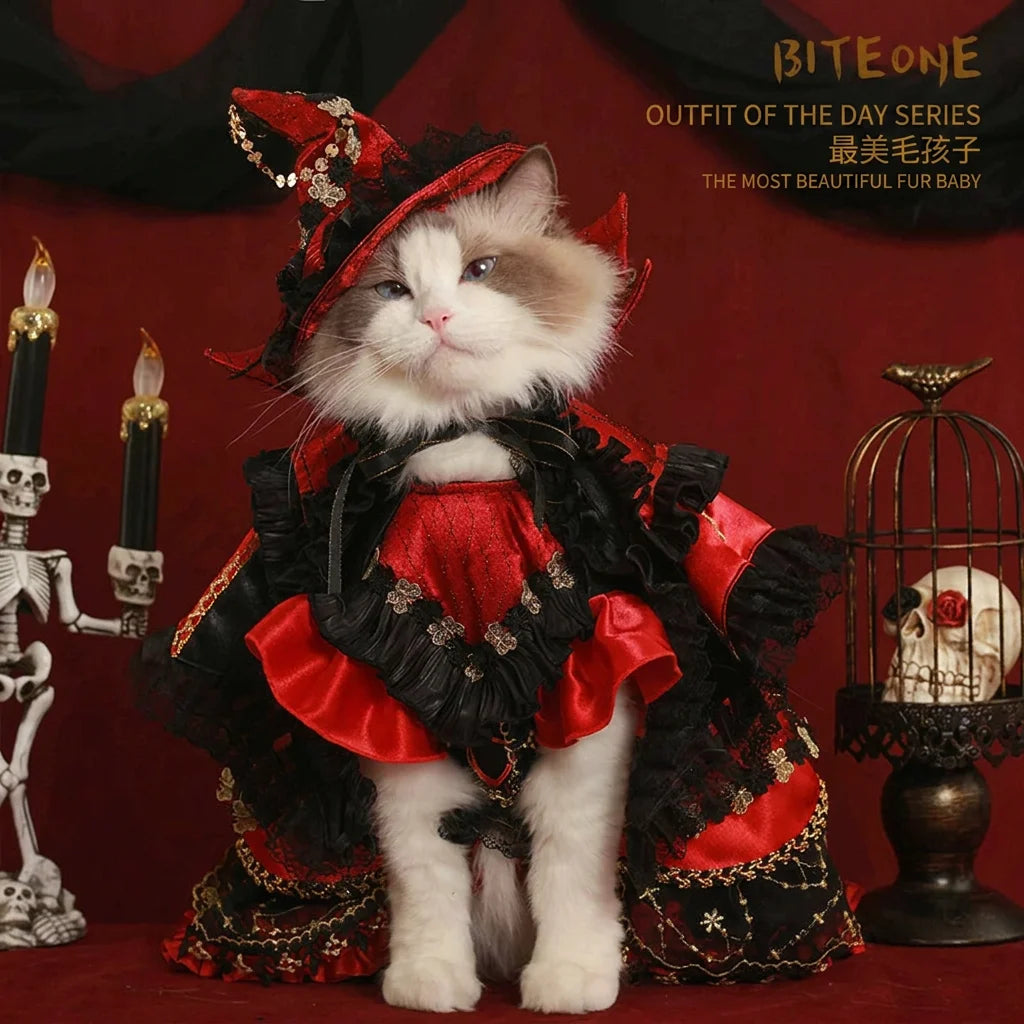 Dark Night Halloween Cat Princess Dress