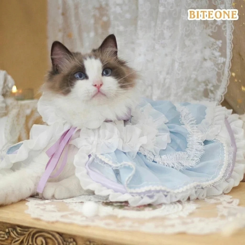 Elsa Princess Cat Cloak