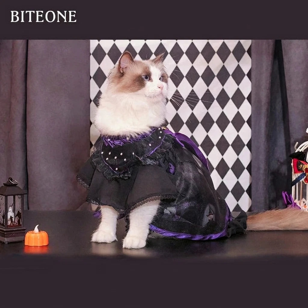 Medea Halloween Cat Lolita Gift Set
