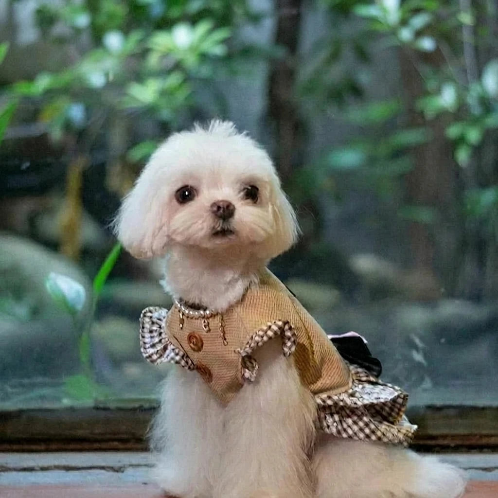 Caramel Preppy Pet Dress