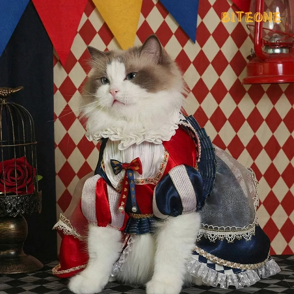 Alice Rabbit Tricks Lolita Cat Dress