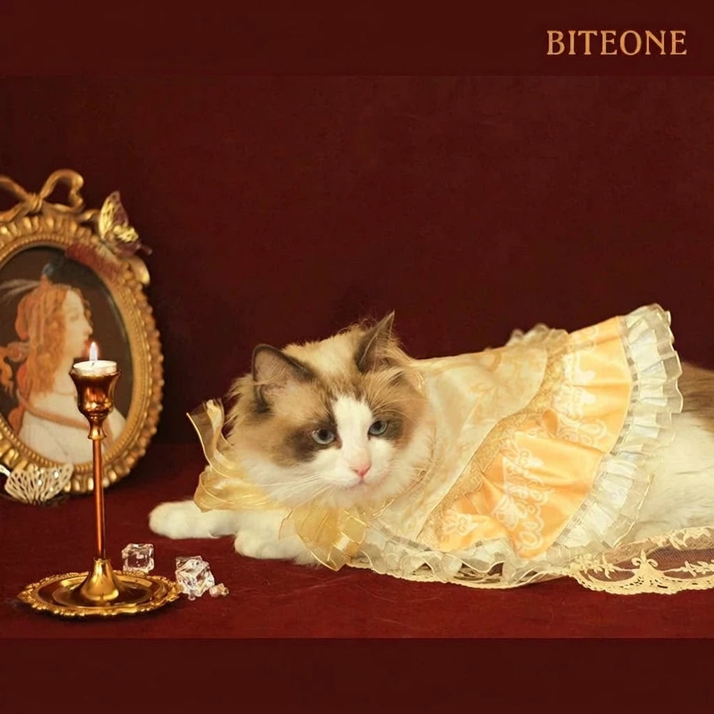Freya Lolita Cat Cape Gift Set