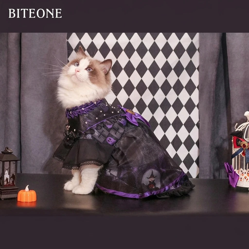 Medea Halloween Cat Lolita Gift Set