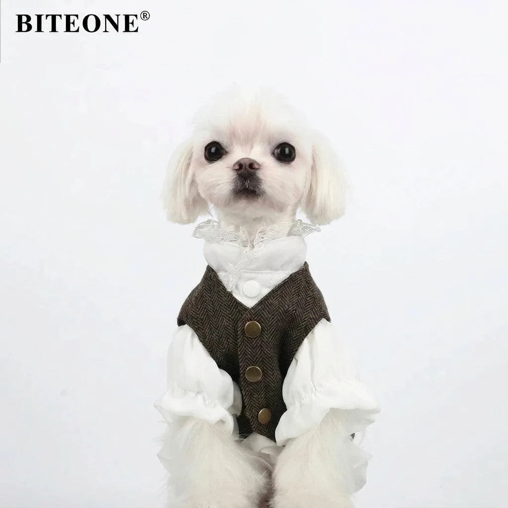 St. John British Pet Vest Set