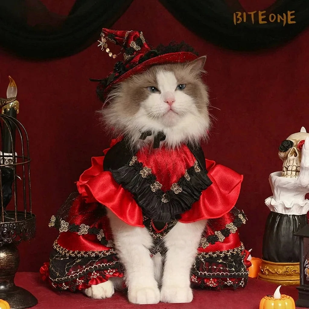Dark Night Halloween Cat Princess Dress