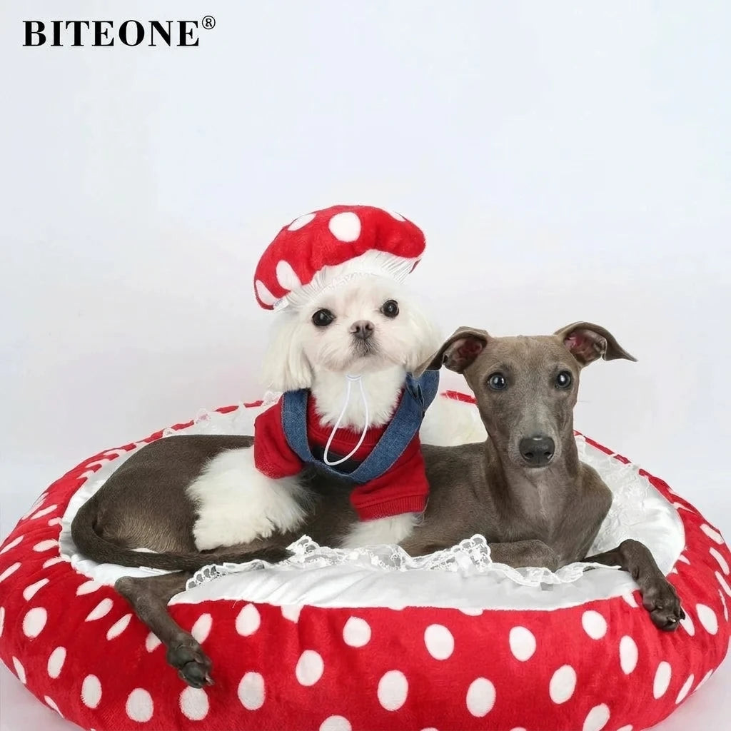 Warm Mushroom Pet Bed