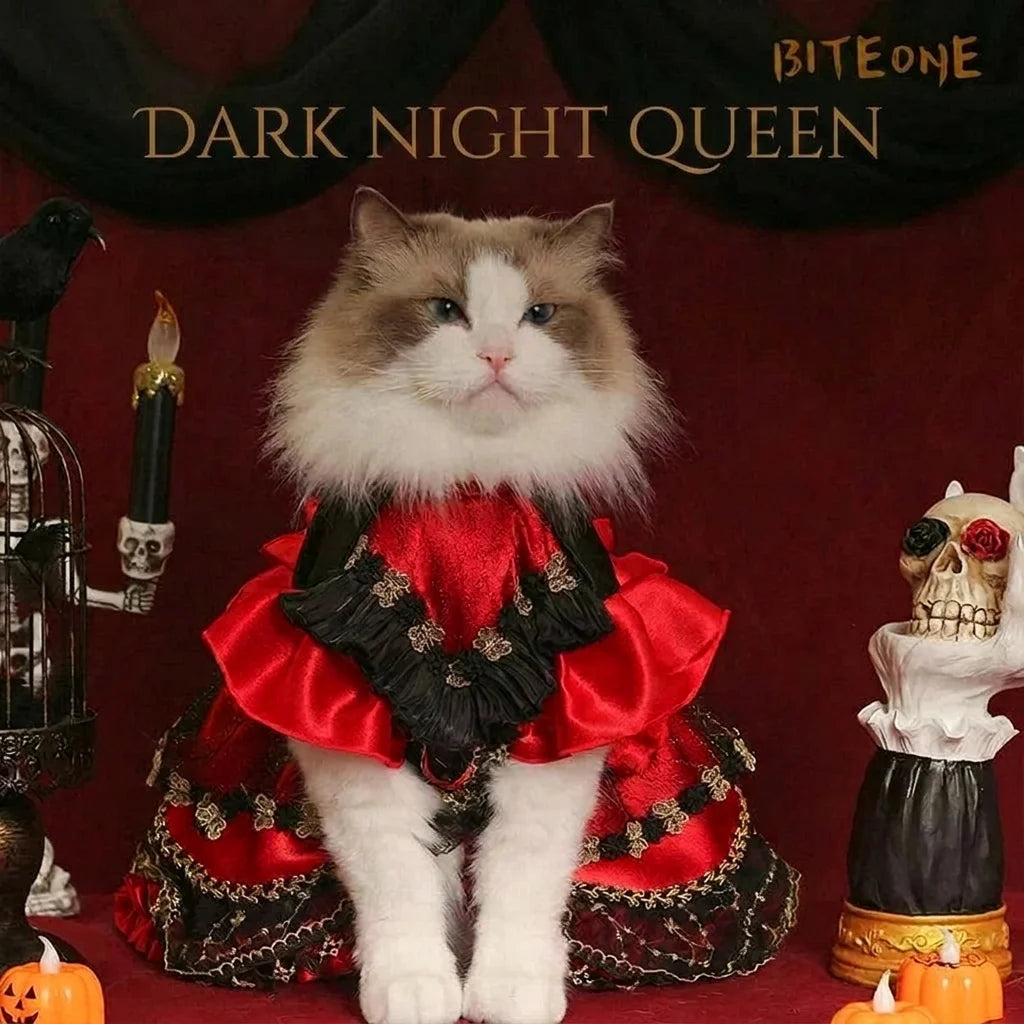 Dark Night Halloween Cat Princess Dress