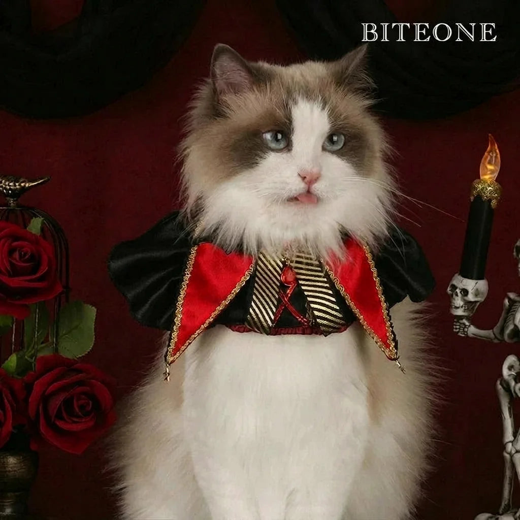 Dark Night Halloween Pet Scarf