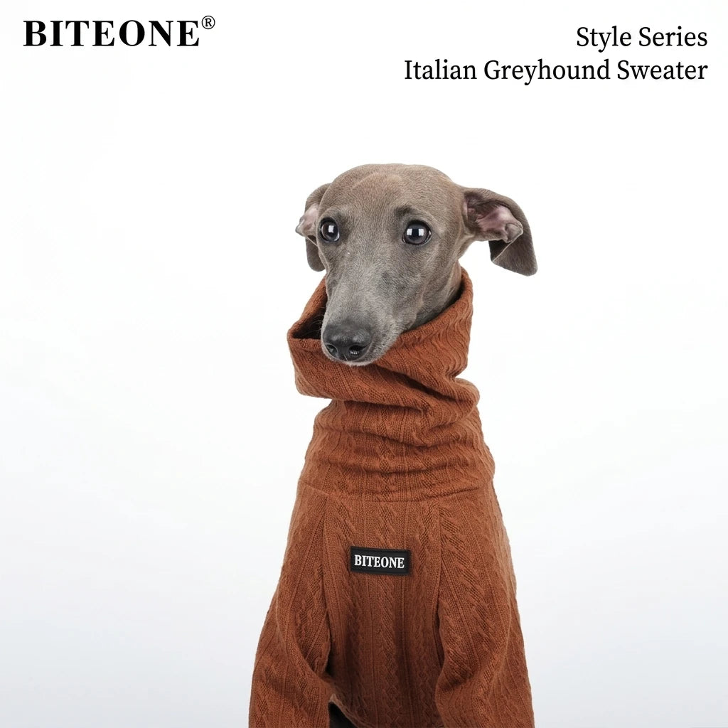 British-Style Pet Turtleneck Sweater