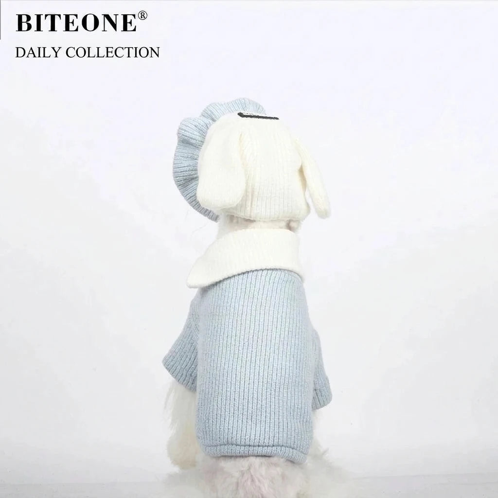 Baby Blue Rabbit Ear Pet Hat