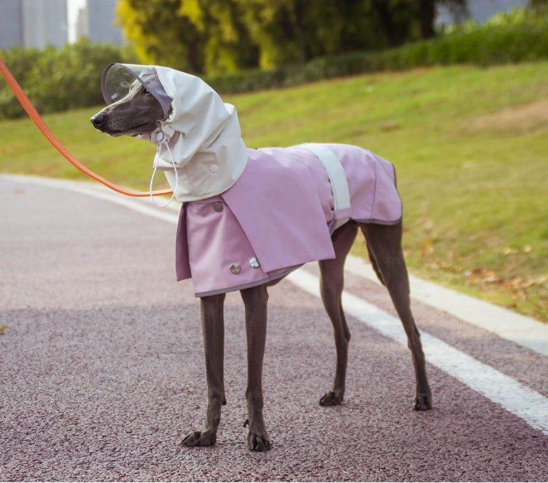 Lightweight Waterproof Dog Raincoat