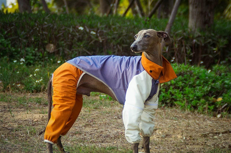 Lightweight Waterproof Dog Jacket