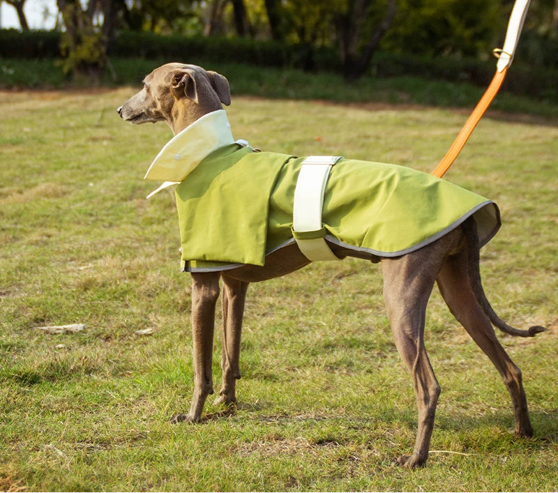 Lightweight Waterproof Dog Raincoat