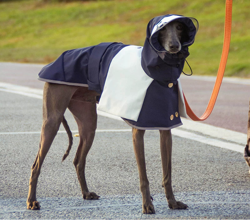 Lightweight Waterproof Dog Raincoat