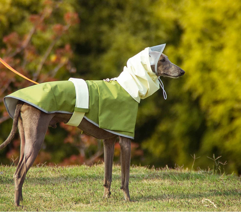 Lightweight Waterproof Dog Raincoat
