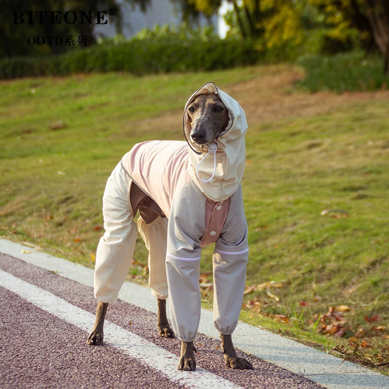 Lightweight Waterproof Dog Jacket